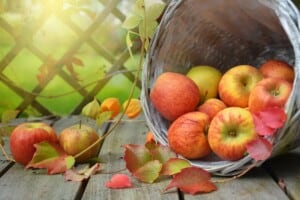 Fresh apples spilling from a woven basket on a wooden table with autumn leaves and greenery in the background.